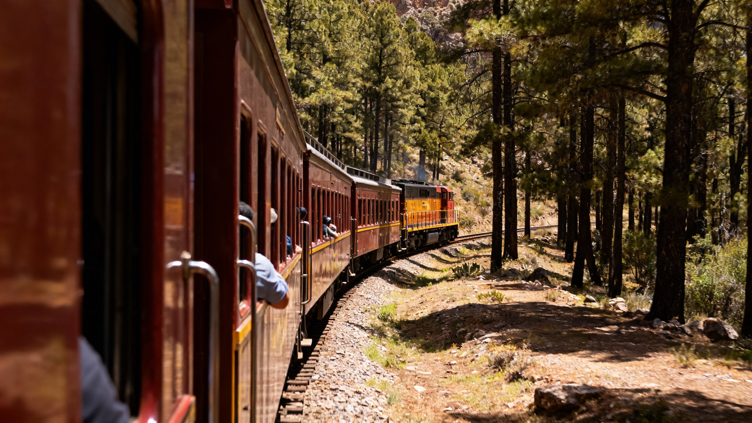 Copper Canyon train Chihuahua Mexico forest