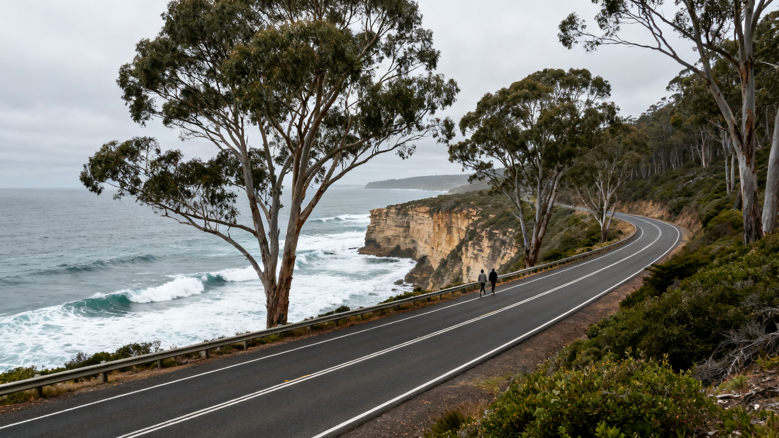 A coastal highway bordered by eucalyptus trees and ocean cliffs with waves rolling under an overcast sky.