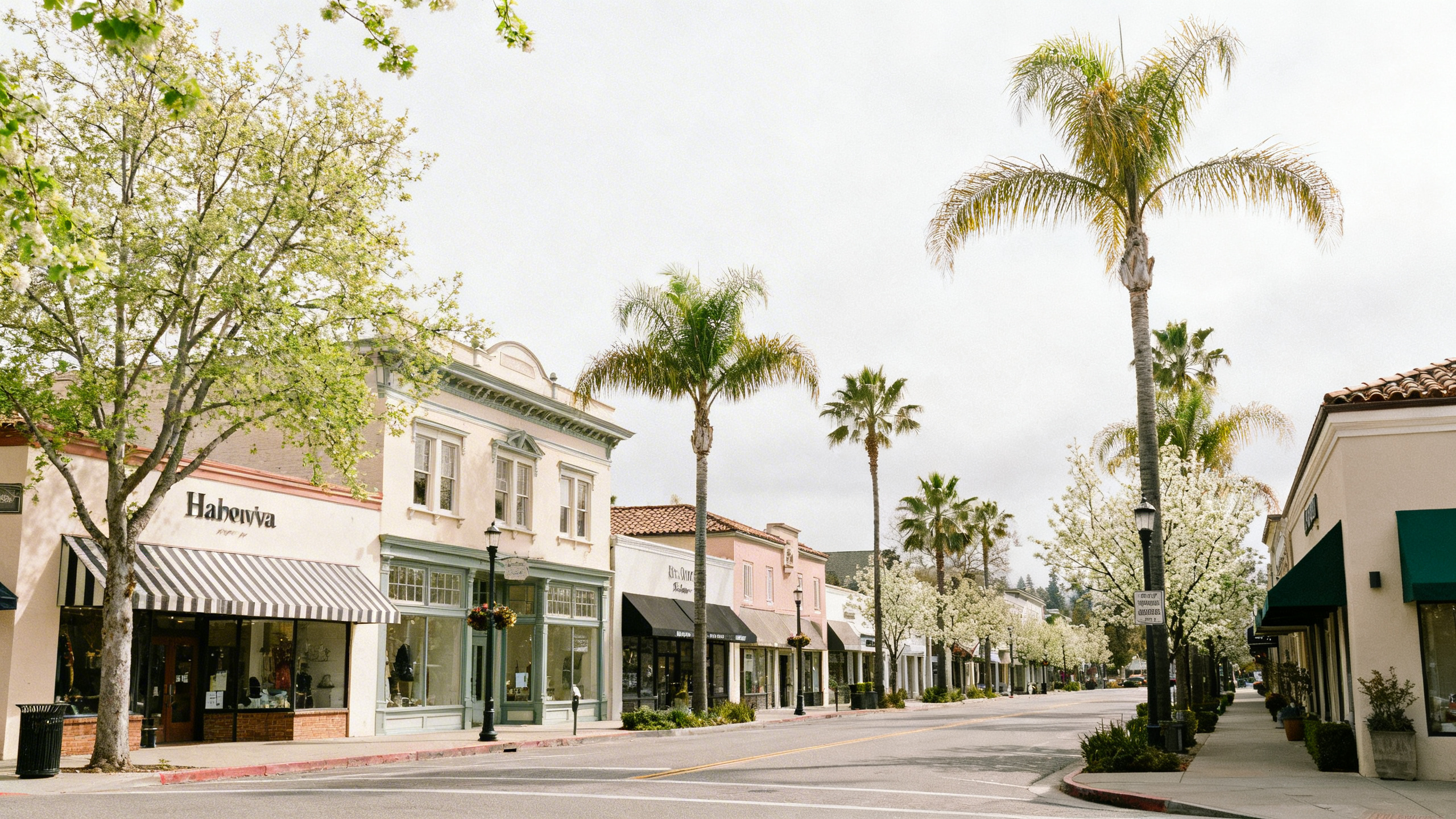 Sunlit streets lined with boutique shops and palm trees in downtown Saratoga, California during springtime