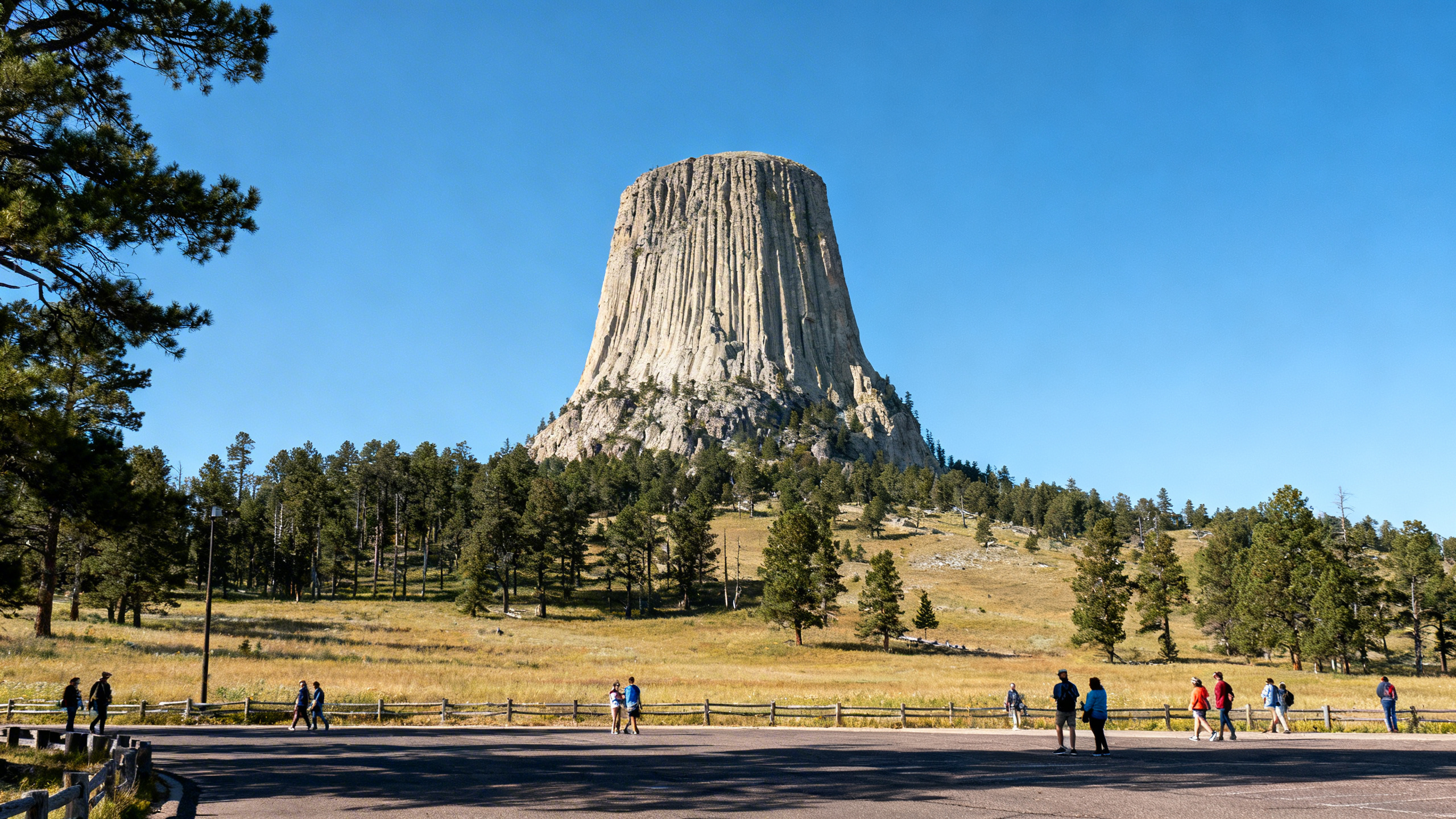 The towering rock formation of Devils Tower rising above the surrounding forested landscape under a clear blue sky in Wyoming