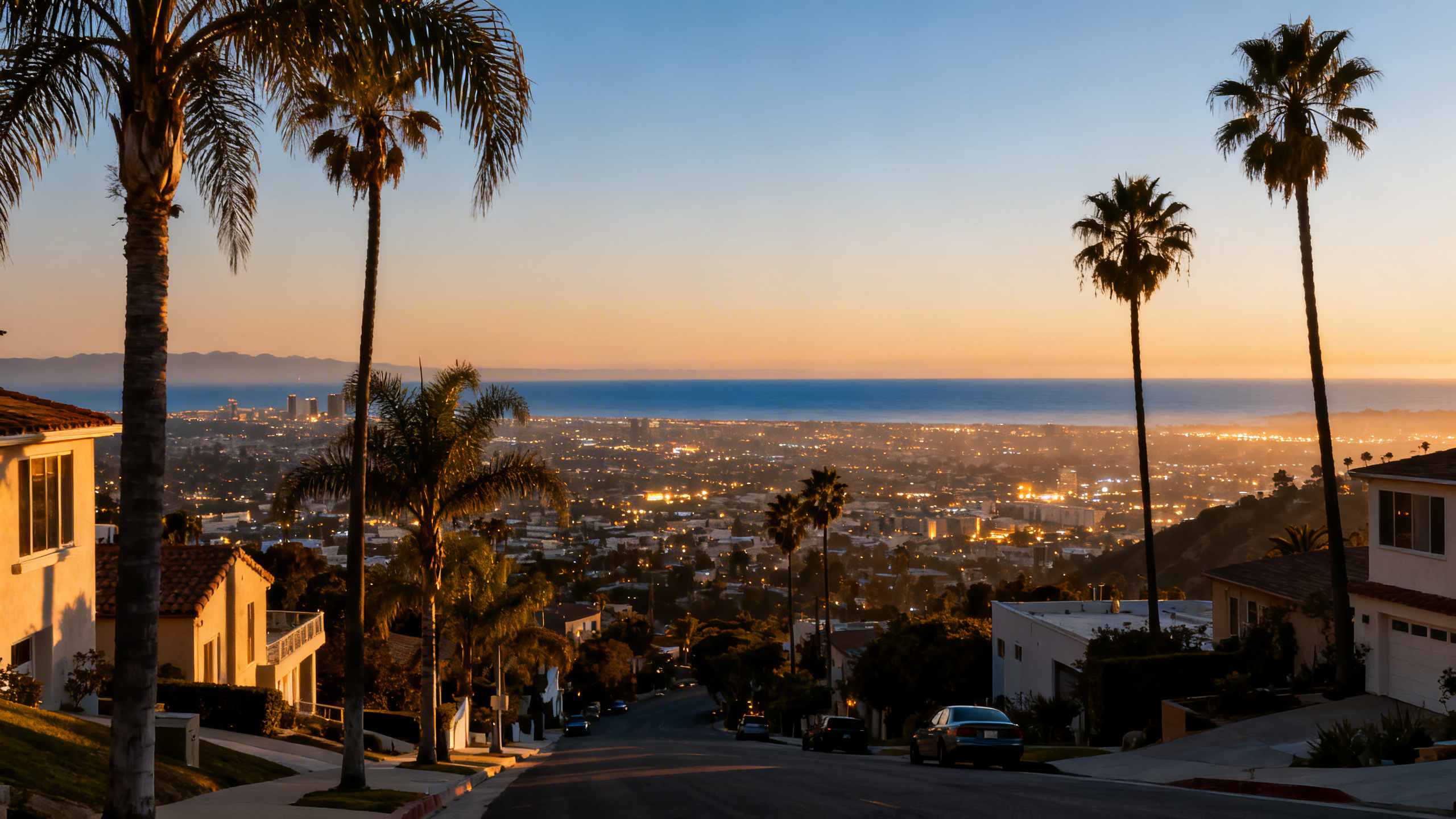 Hillside residential street in Los Angeles with palm trees and sprawling city views stretching to the ocean horizon.