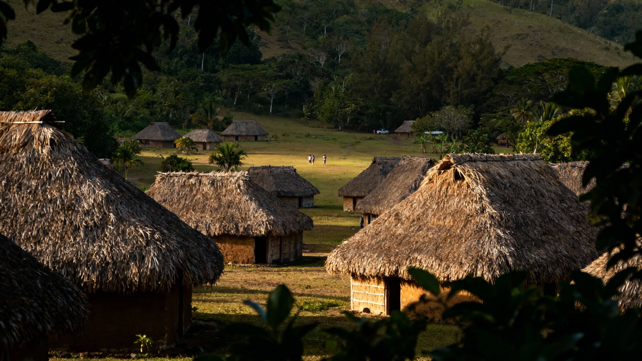 Navala Village Fiji traditional thatched houses