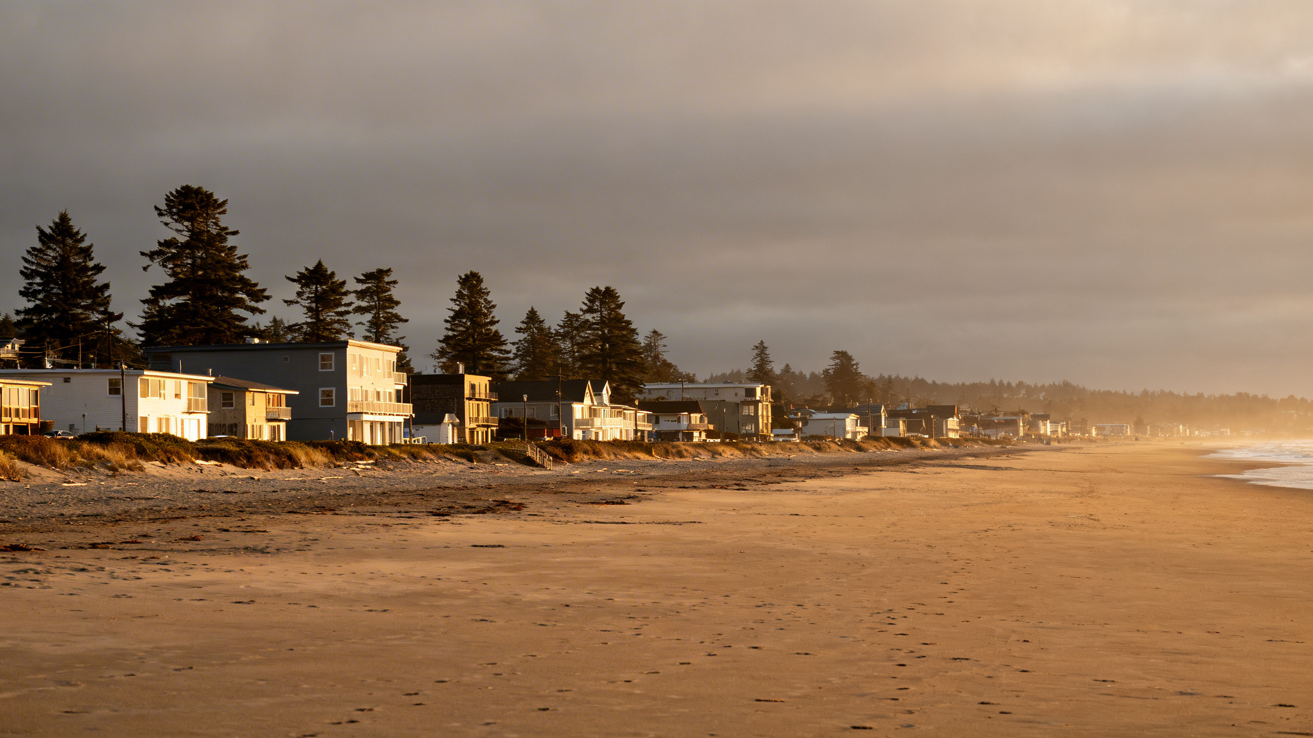 Wide sandy beach backed by modest buildings and pine trees in the overcast coastal town of Ocean Shores.