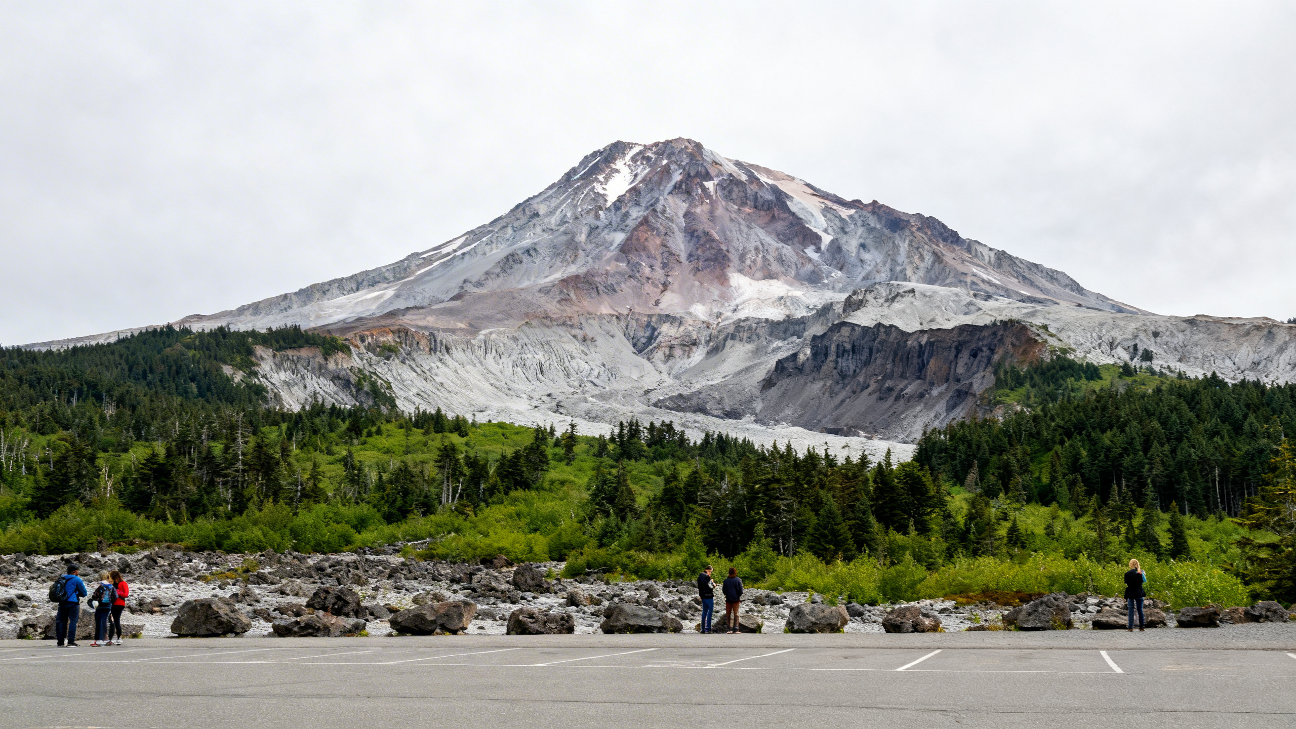 The eruptive crater of Mount St. Helens with lush green forest regrowth contrasting volcanic ash and rock fields under an overcast sky