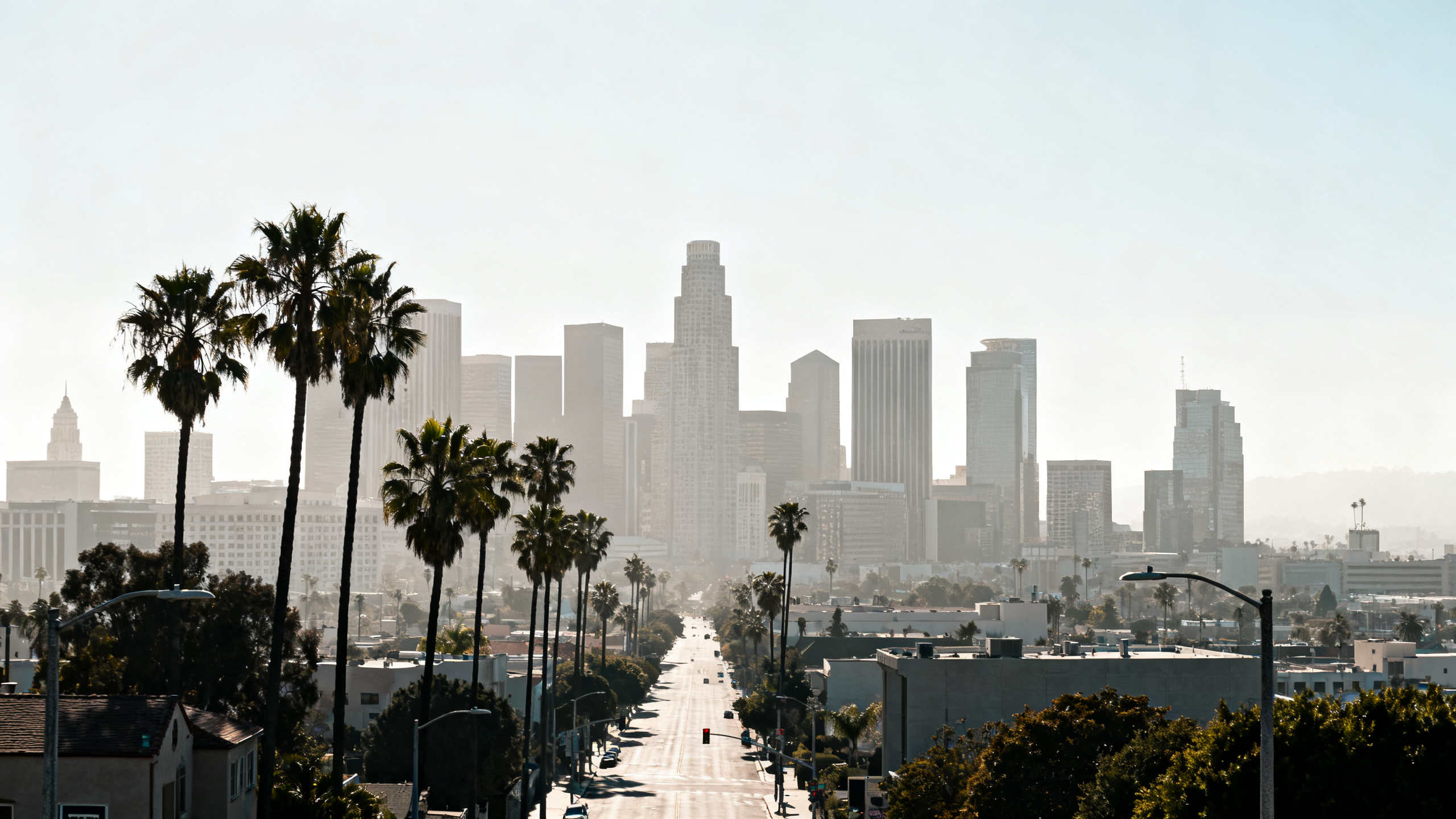 The sprawling skyline of downtown Los Angeles with palm-lined streets under a clear sunny sky