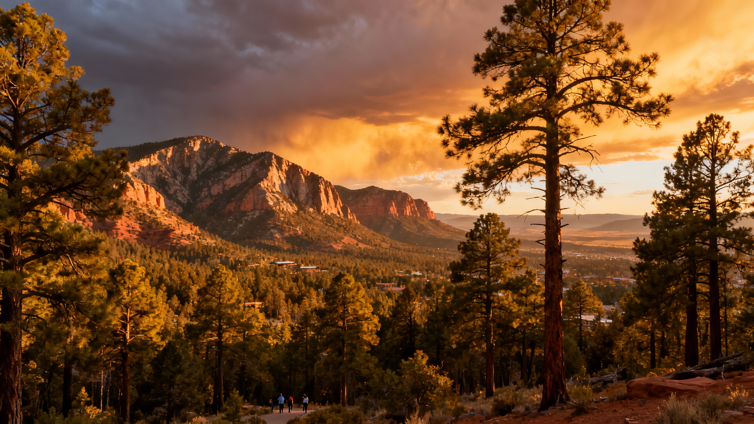 Flagstaff Arizona pine forests and mountains