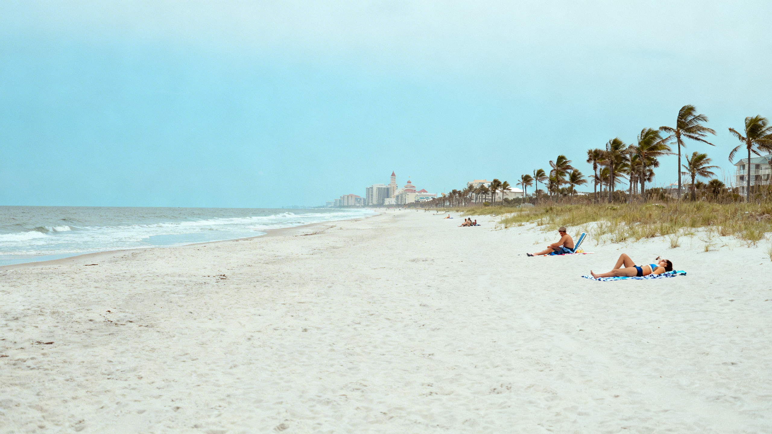 Broad sandy beach along Myrtle Beach's coastline with sunbathers and palm trees under a clear blue sky in summer
