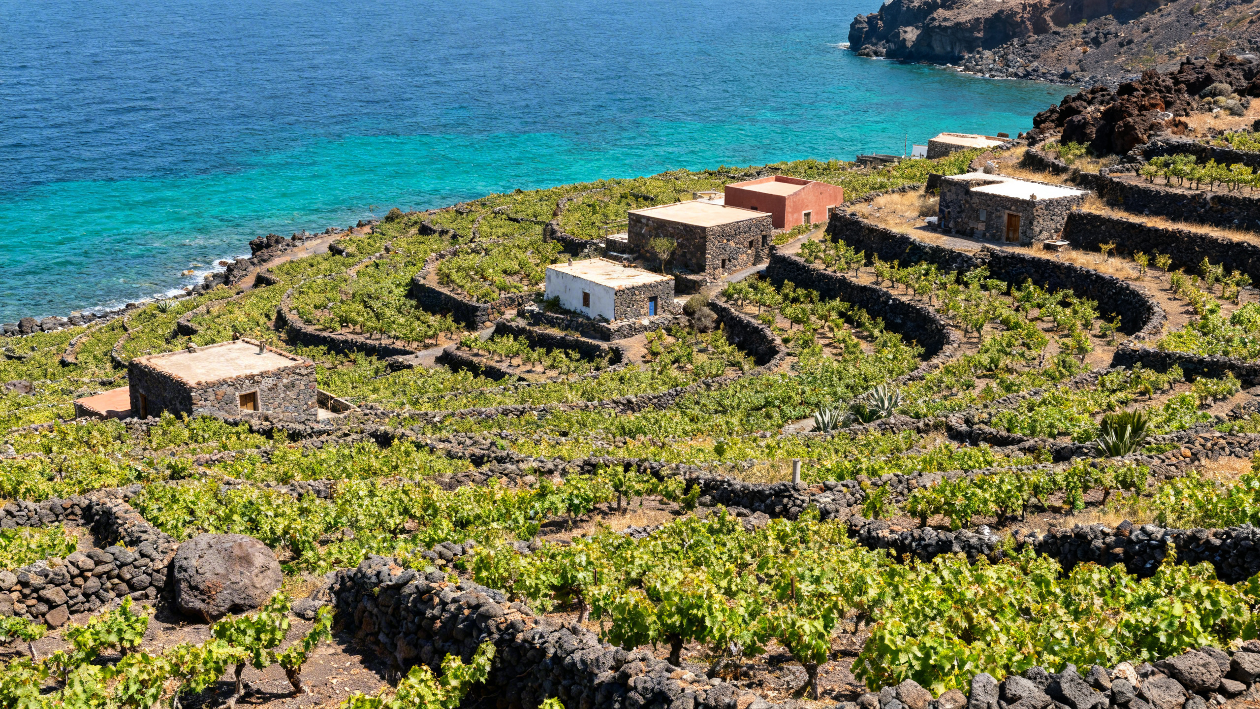 Stone-built terraced vineyards and rustic homes contrasting against the turquoise waters surrounding the volcanic Italian island of Pantelleria