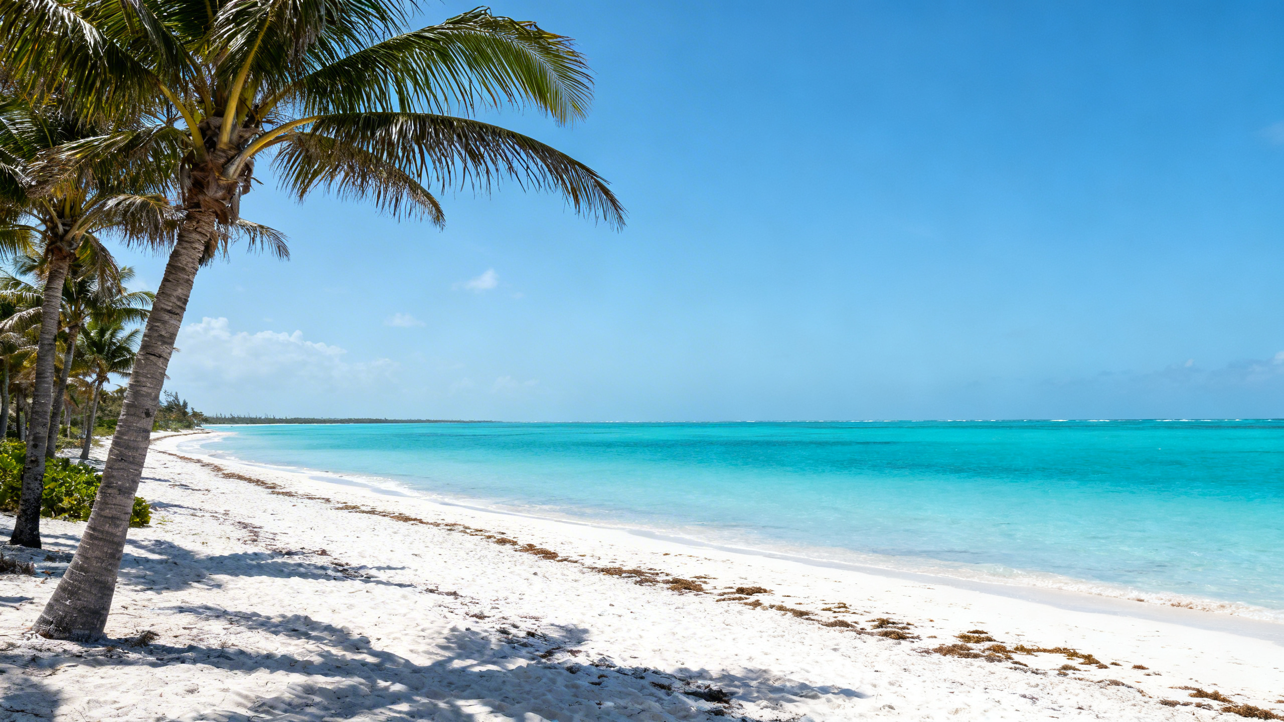 Turquoise waters and powdery white sands stretch along a quiet beach bordered by palm trees on Providenciales island, Turks and Caicos