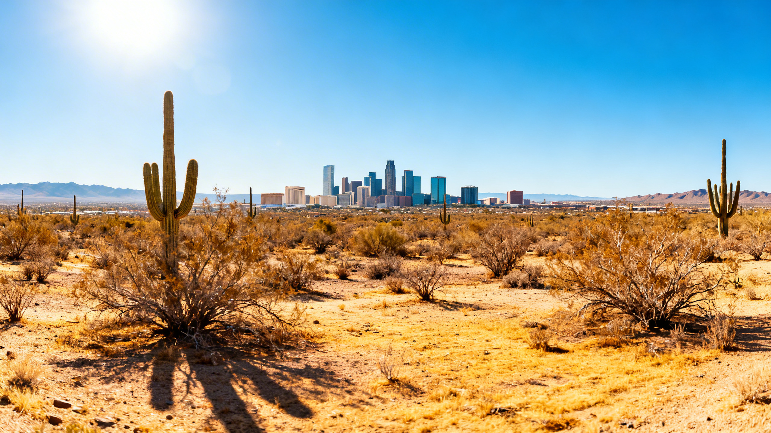 Hot desert landscape with sparse vegetation and city skyline in the distant background near Phoenix.