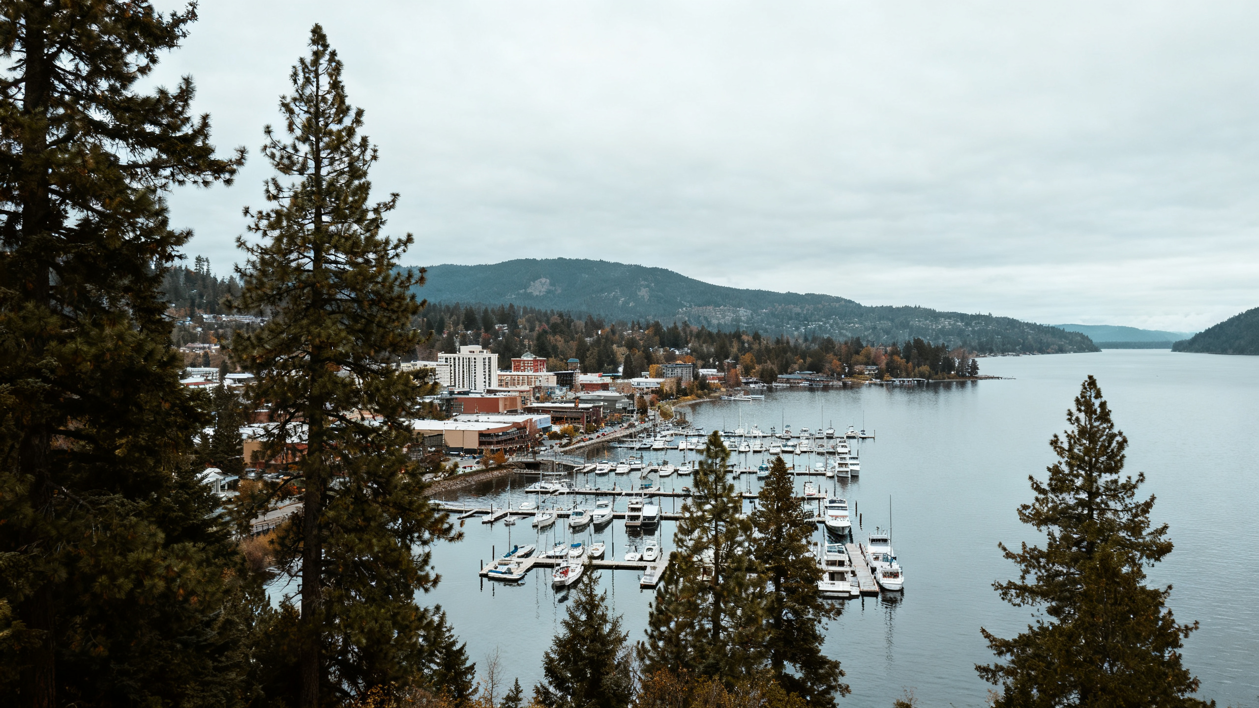 Lake Coeur d'Alene with a marina full of boats, surrounded by pine trees and distant hills under overcast skies.