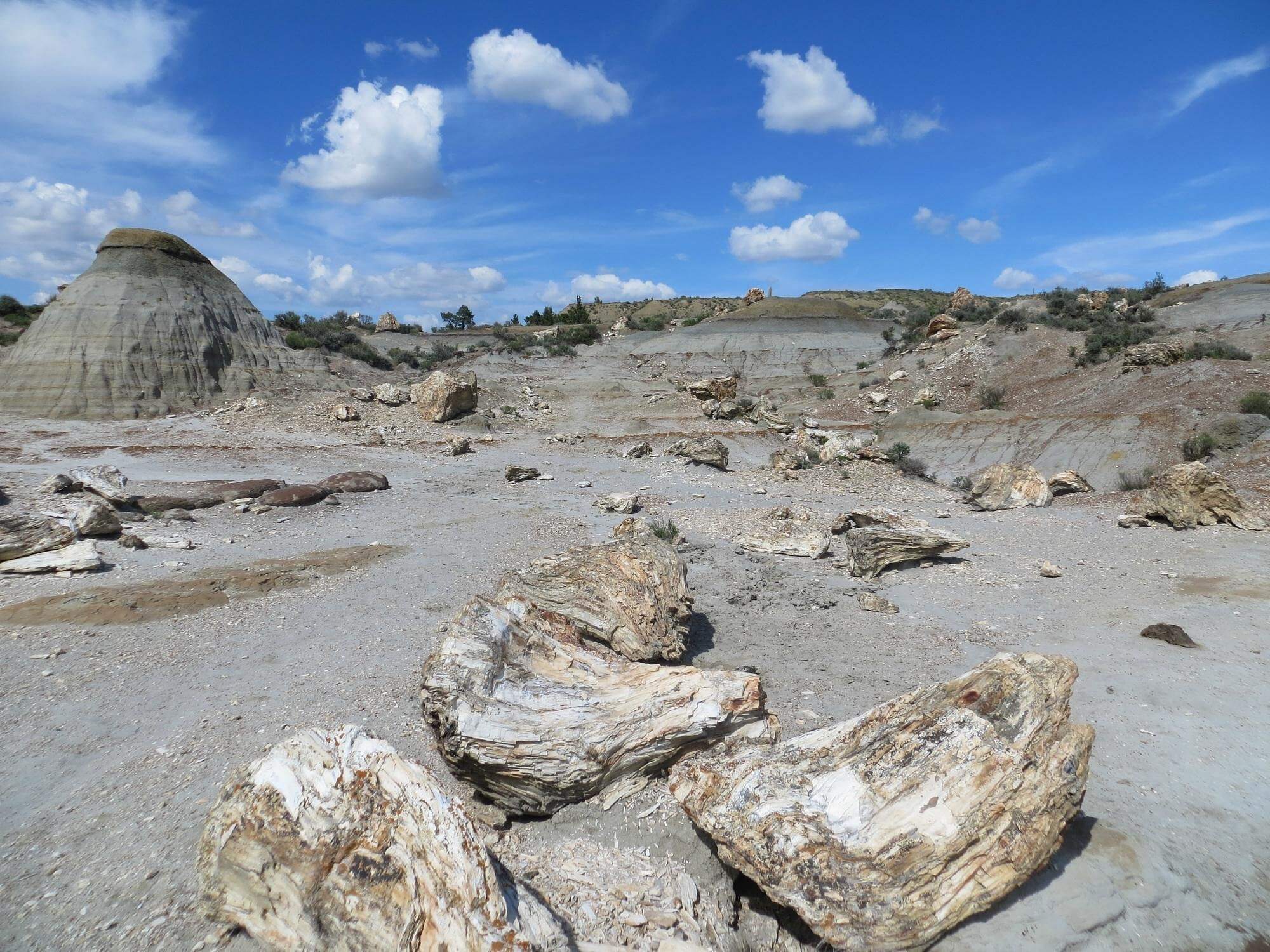 Discover North Dakota’s Petrified Forest Loop