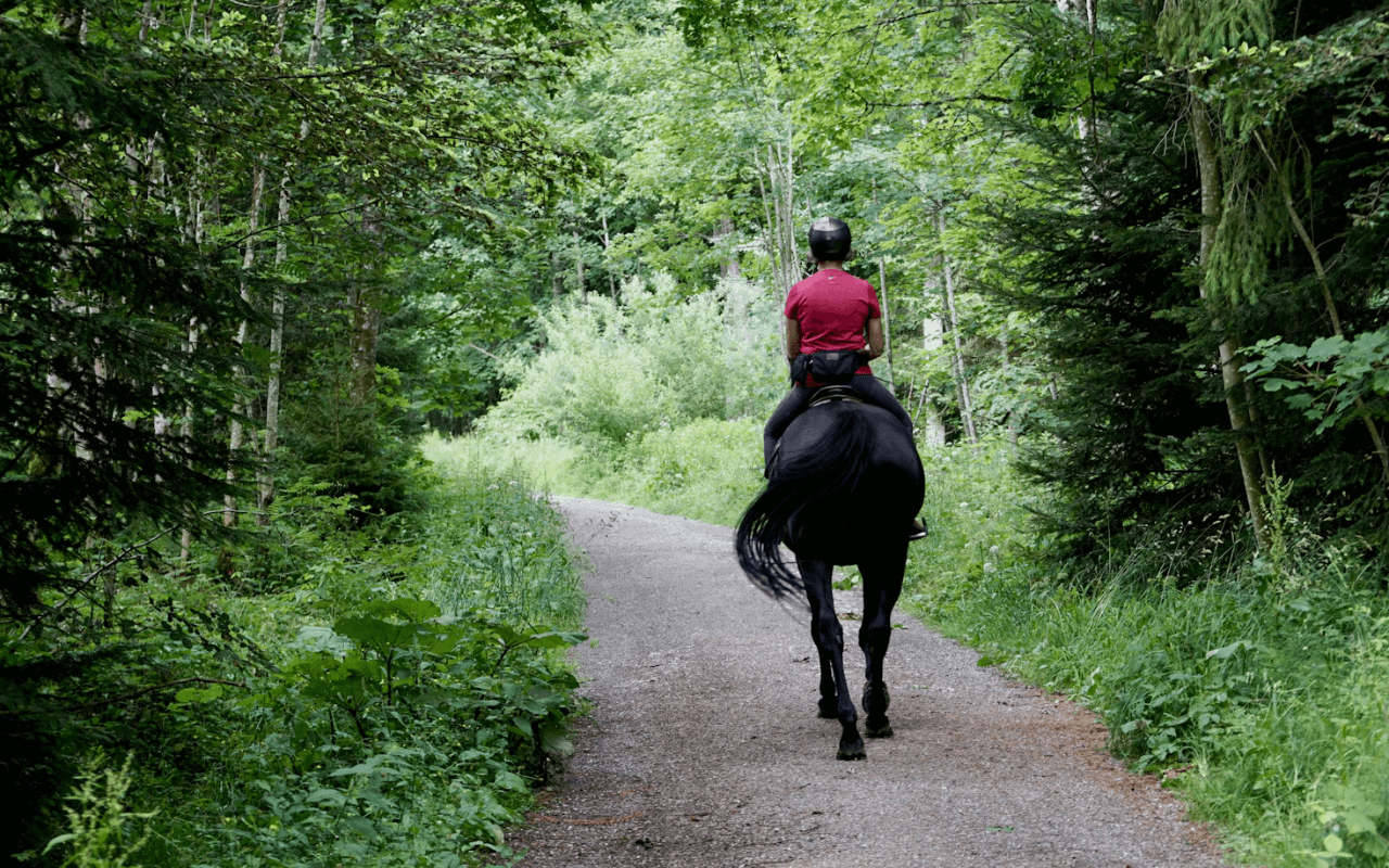 Experience Montana’s Backcountry by Horseback