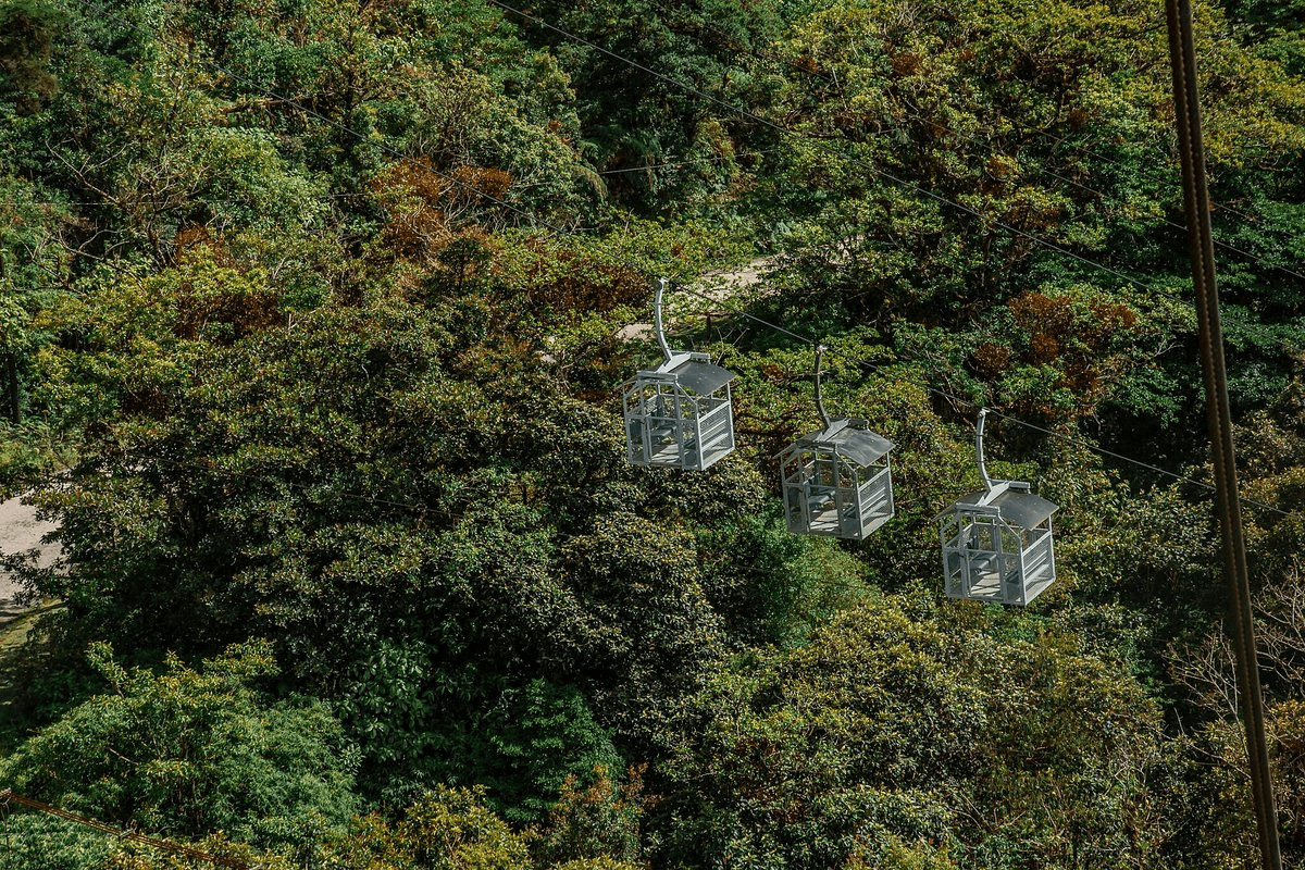 Monteverde Cloud Forest Zip Line in Costa Rica