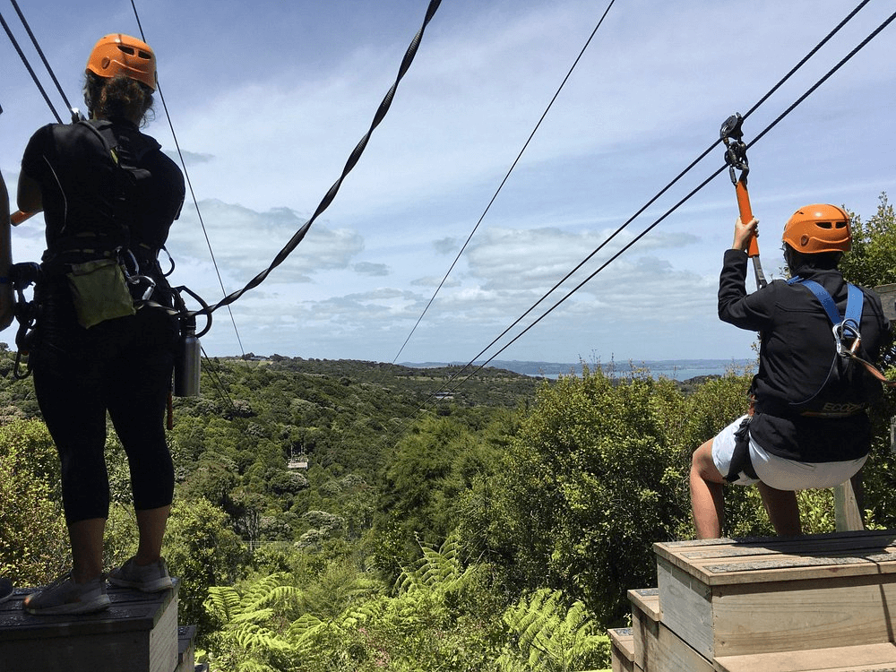 Eco Zip Line on Waiheke Island, New Zealand
