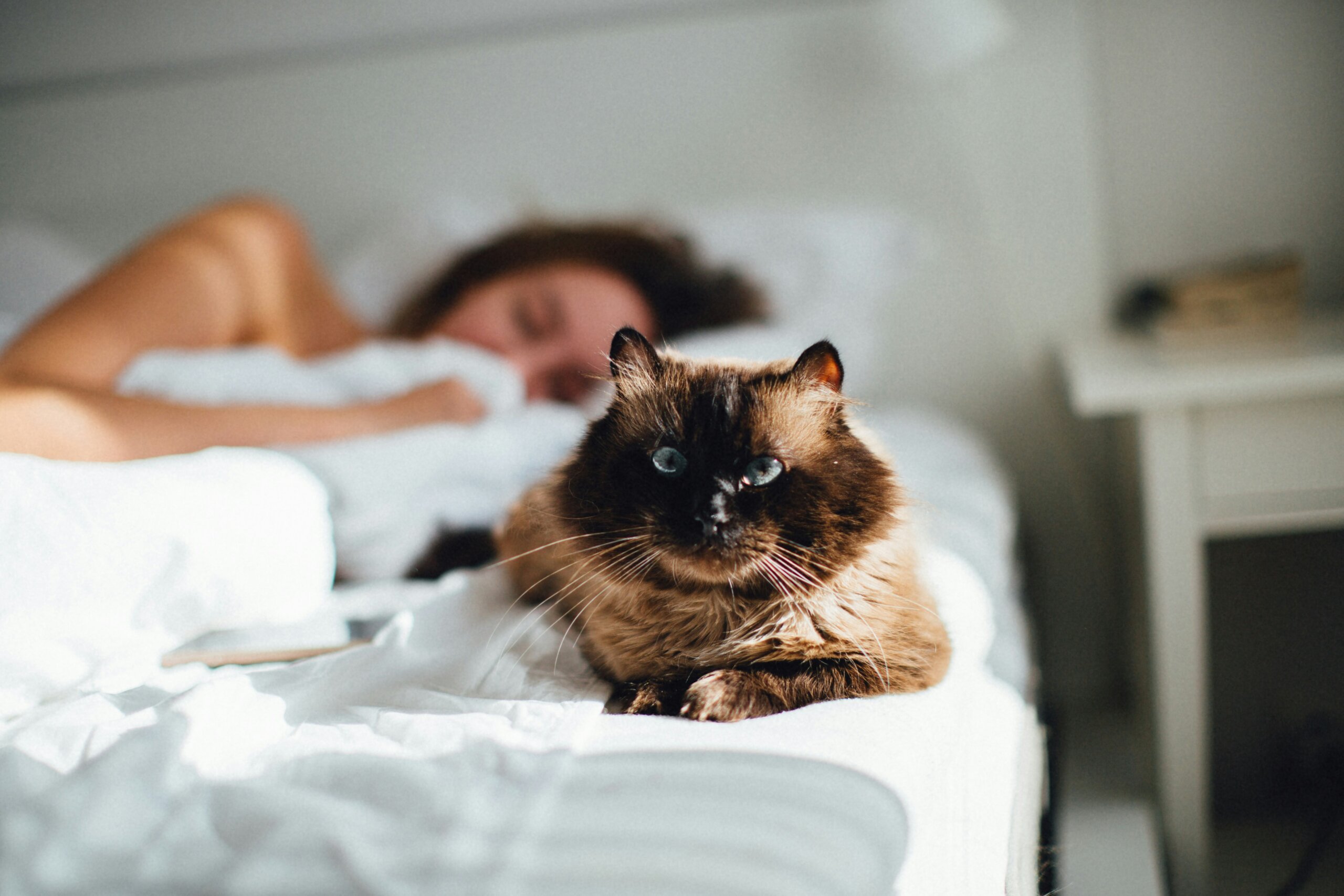 Shift Your Sleep Times Ahead of Your Trip