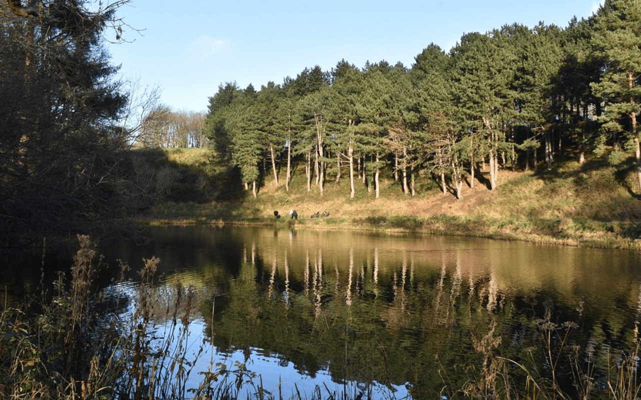 Dublin’s Phoenix Park