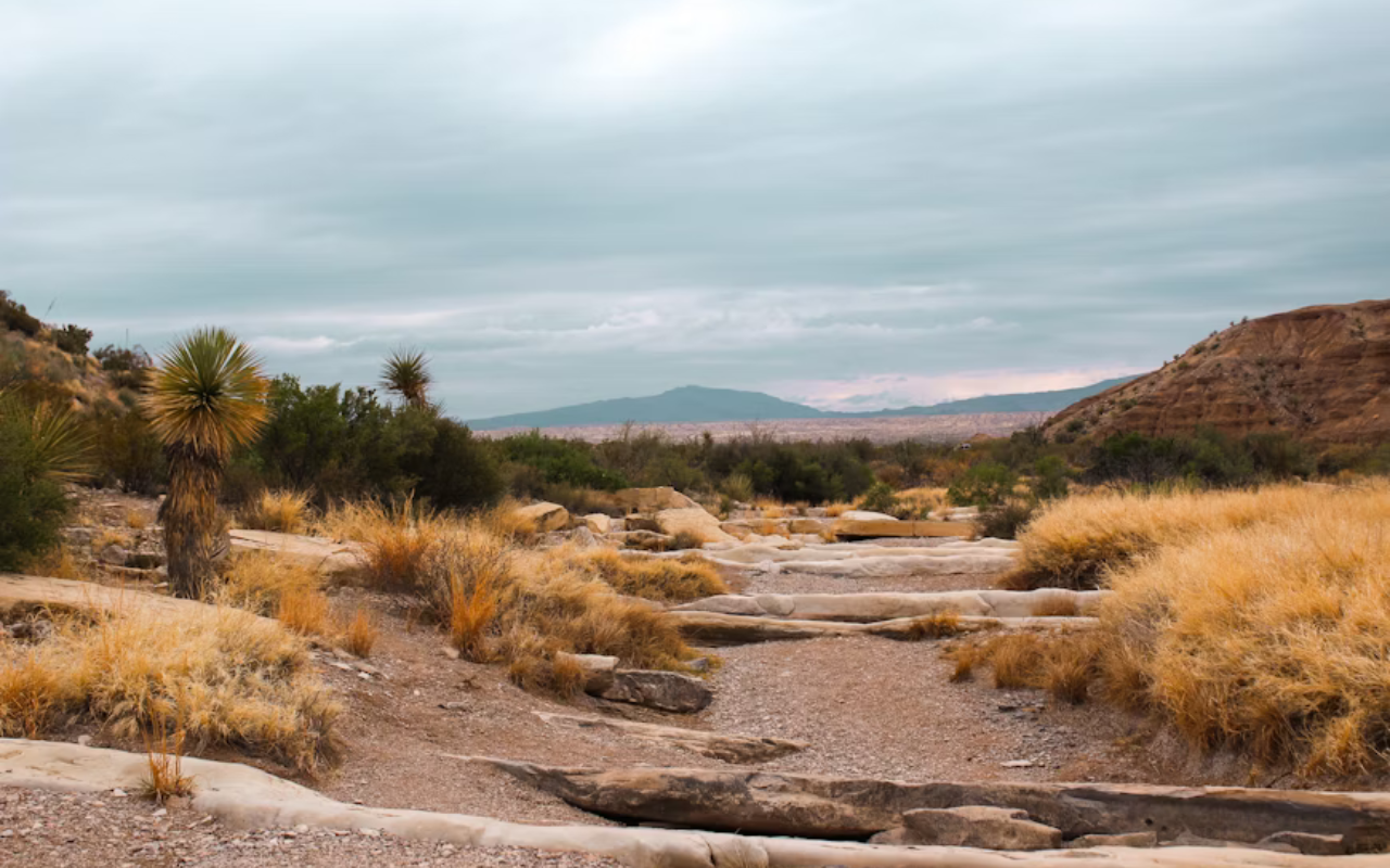 Big Bend National Park: A Dangerous Desert Adventure