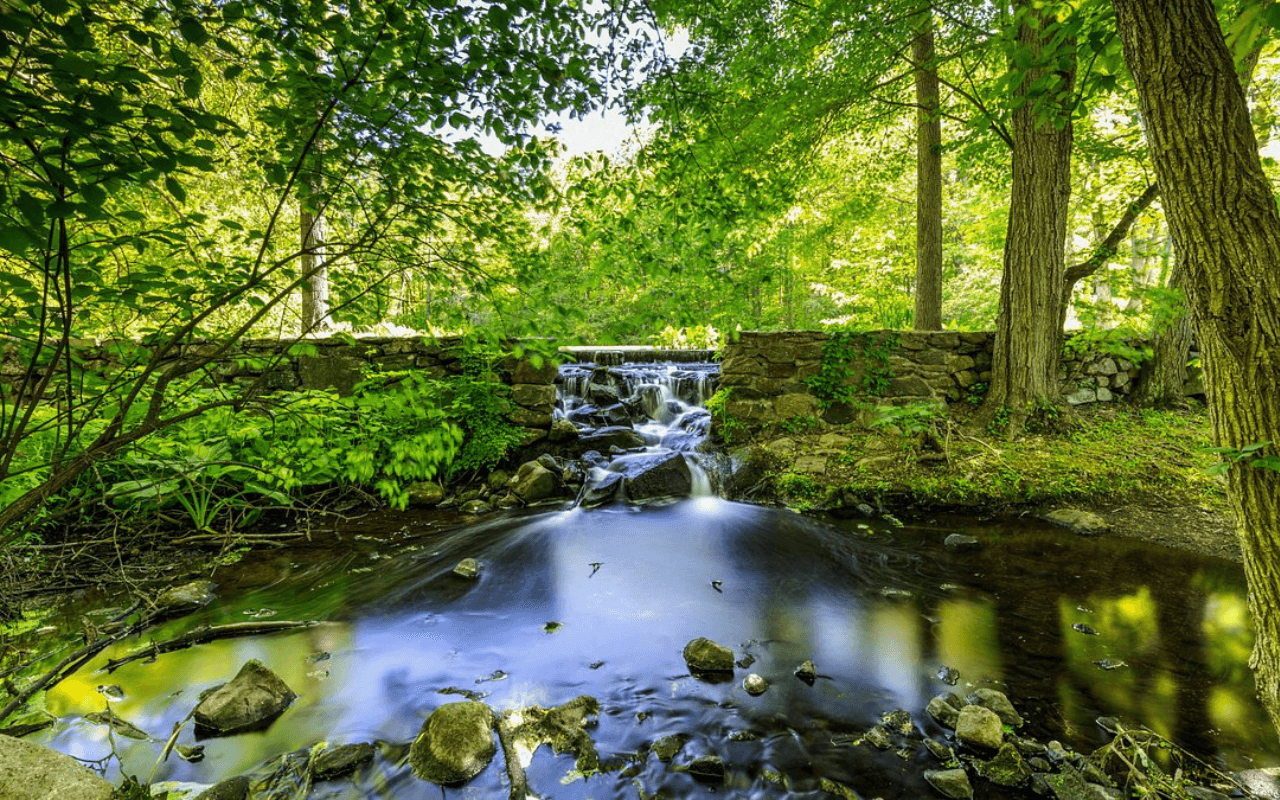 Connecticut’s Bartlett Arboretum & Gardens: A Blossoming Escape