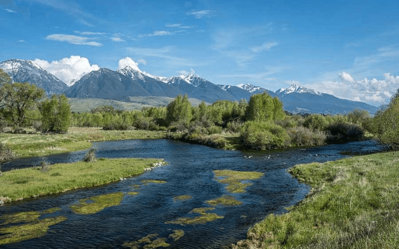 Cast Your Line on the Madison River