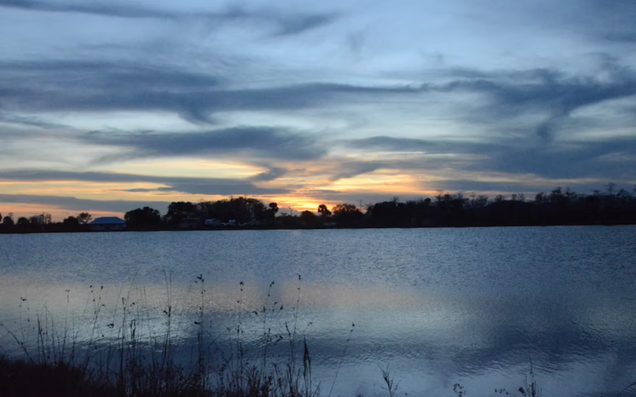 Everglades National Park: Beware the Waterborne Predators