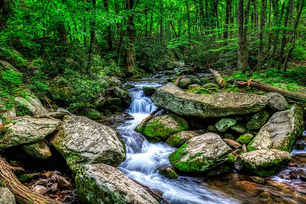 Explore the Great Smoky Mountains National Park in Tennessee