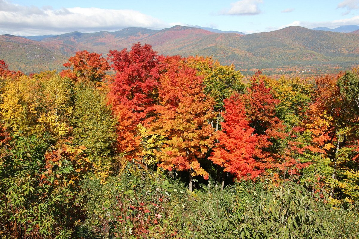 Enjoy the Breathtaking Kancamagus Highway Drive in New Hampshire