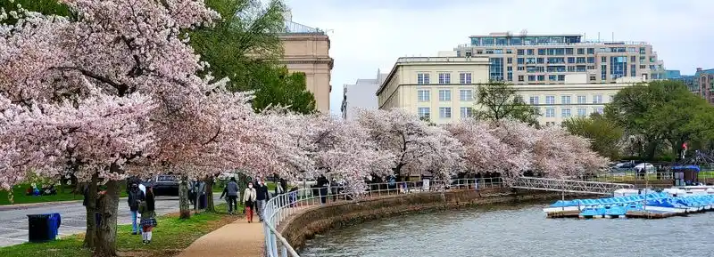 Washington, D.C.’s Unifying Sports Spirit