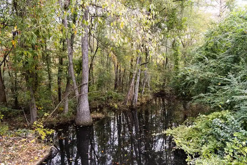 North Carolina’s Quiet Inner Banks