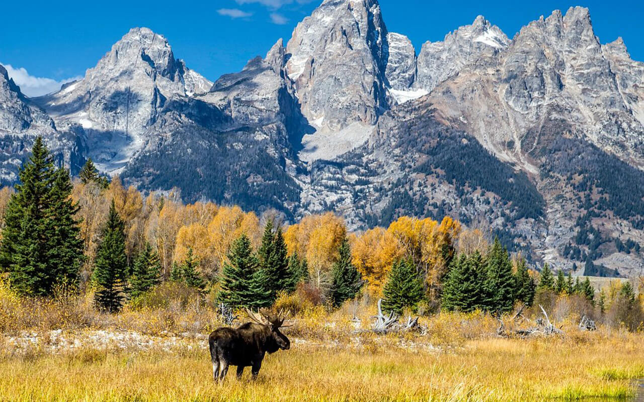 Jackson Hole, Wyoming: Teton Range Hiking Haven