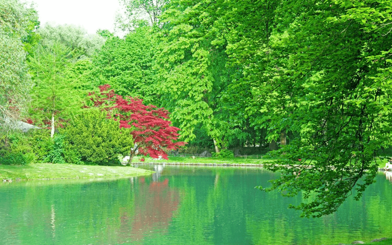 Munich’s English Garden