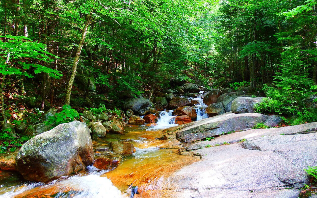 North Dakota: Explore the Wildlife and History of Theodore Roosevelt National Park