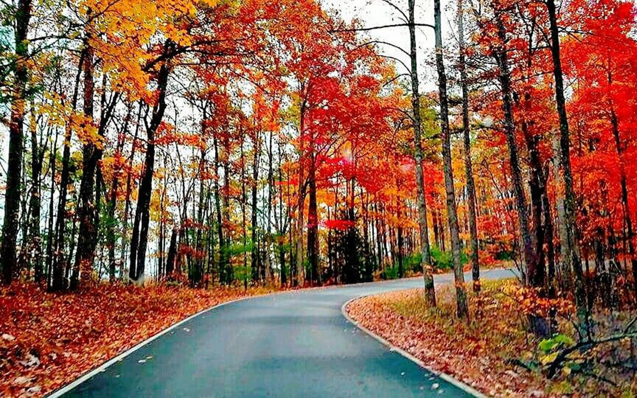 Kentucky: Explore the Natural Wonders of Red River Gorge