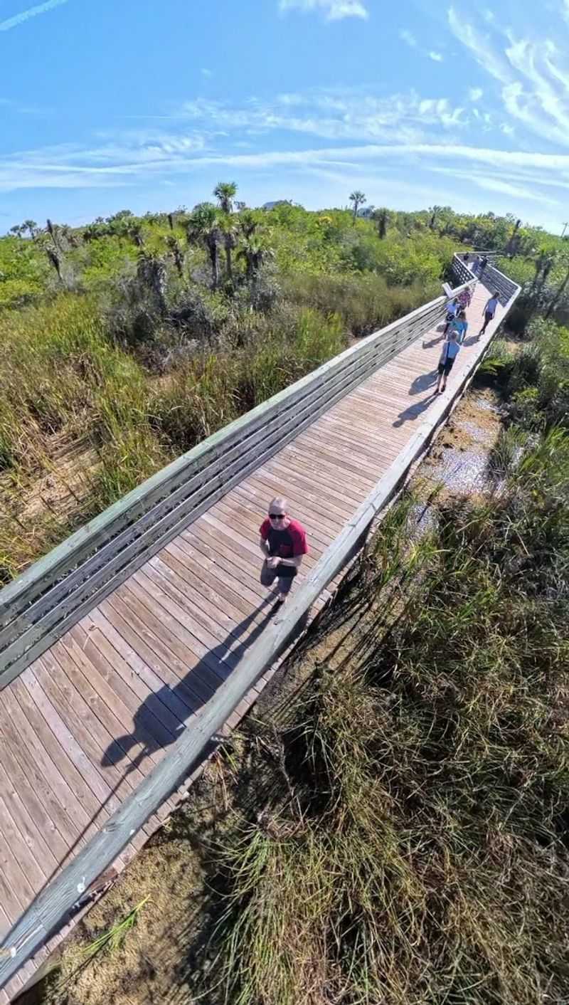 Big Cypress Bend Boardwalk in Fakahatchee Strand Preserve