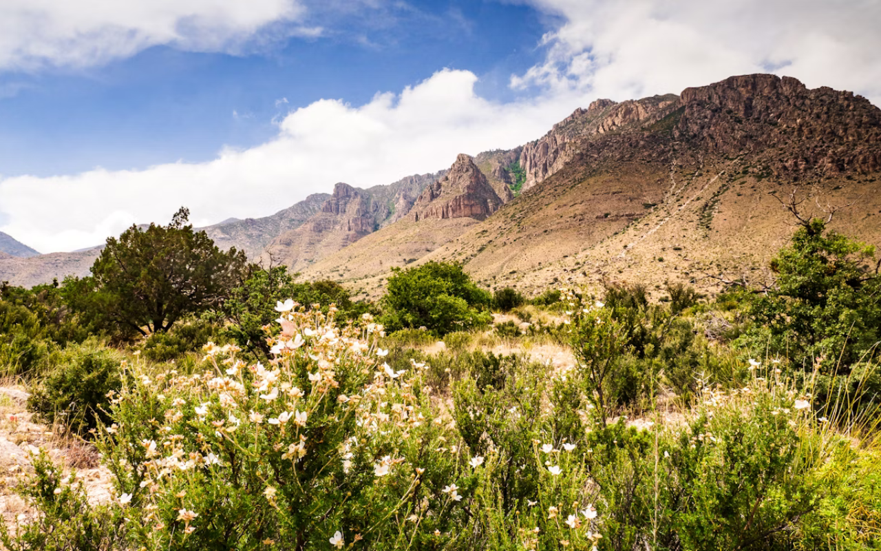 Guadalupe Mountains: Harsh Terrain and Isolation