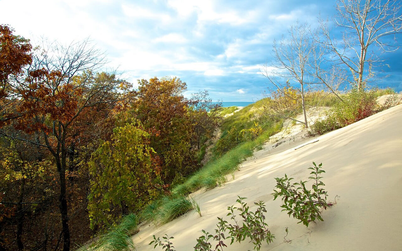 Indiana: Experience the Natural Wonder of Indiana Dunes National Park