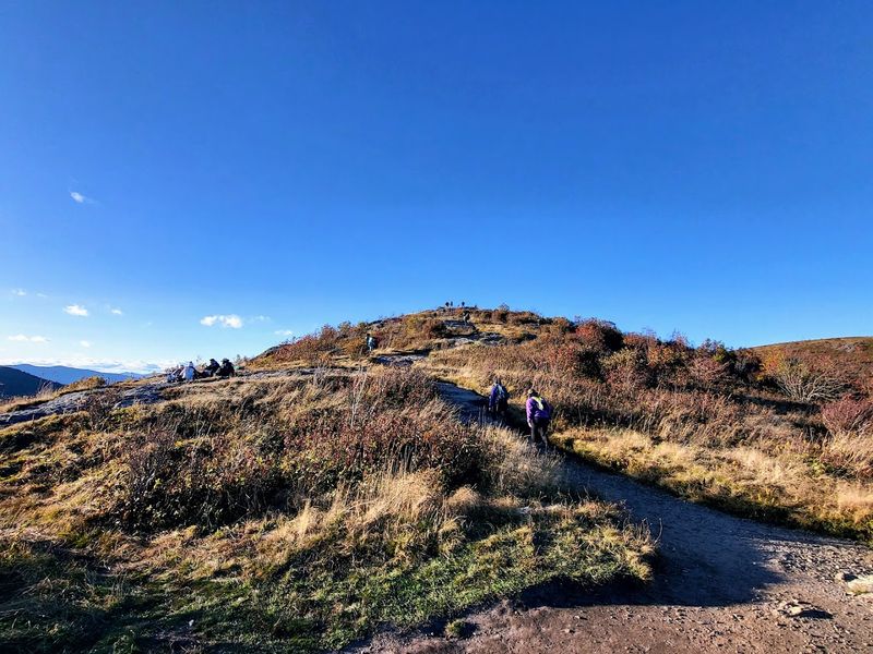 Black Balsam Knob Trek