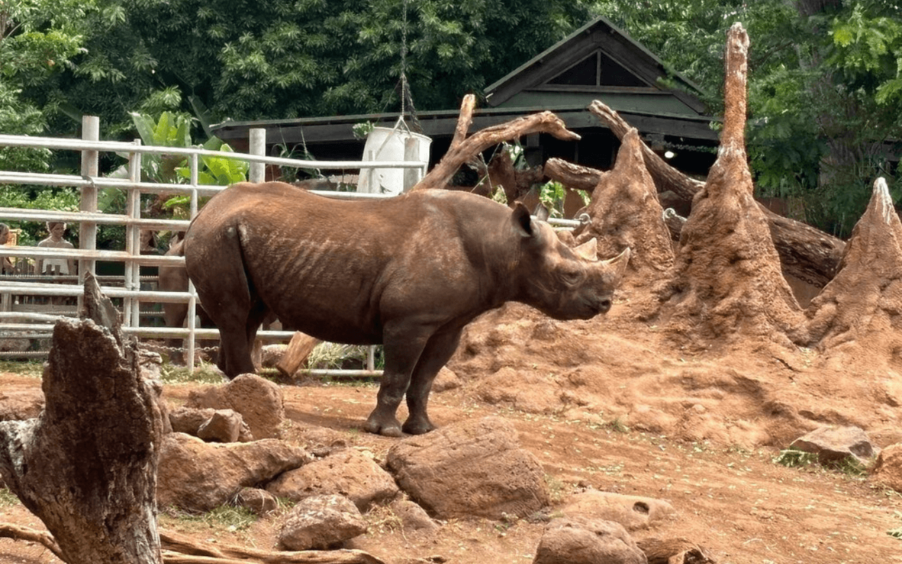 Honolulu Zoo: Conservation in a Tropical Setting