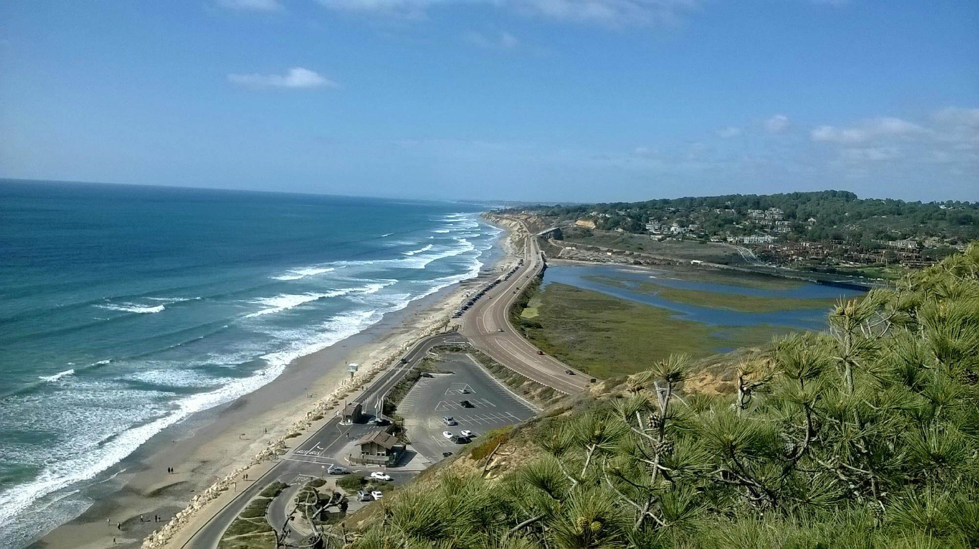 Coastal Trek at Torrey Pines Beach Loop in California