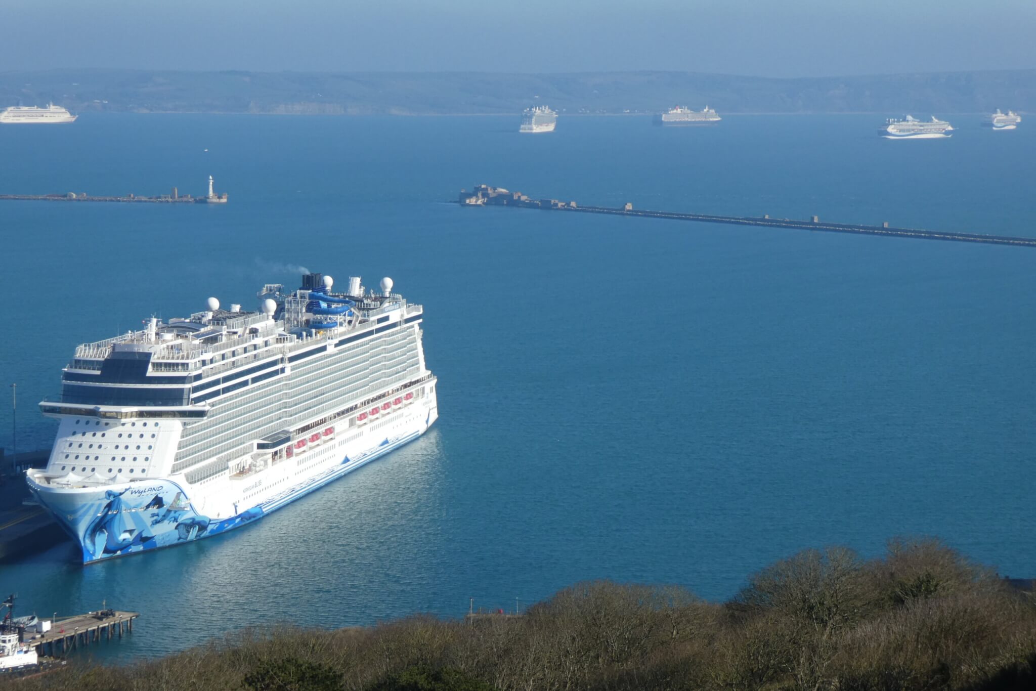 Norwegian Bliss