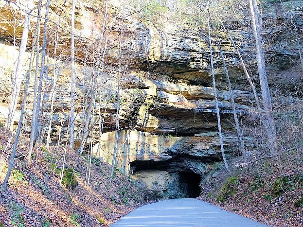 Explore the Vast Wilderness of Daniel Boone National Forest in Kentucky