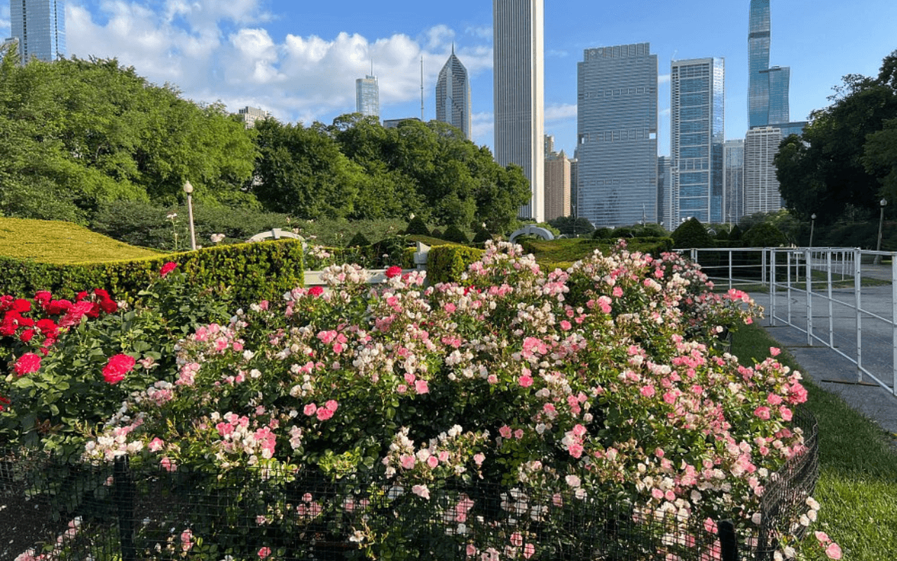 Chicago’s Grant Park