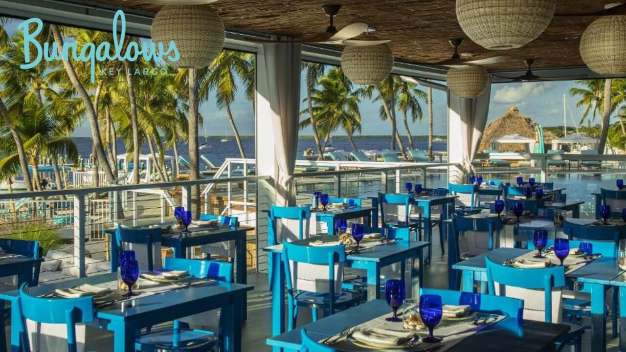 Fish Tales: A Sophisticated Dining Escape