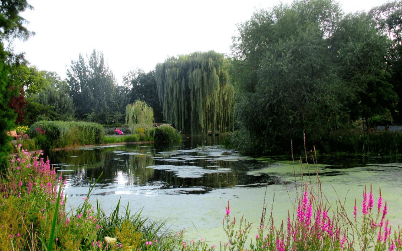 London’s Regent’s Park