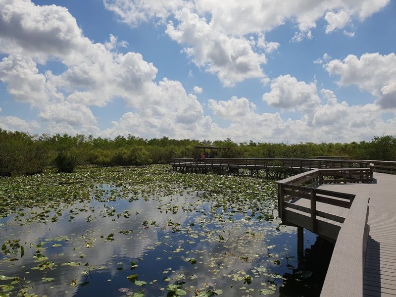 Anhinga Trail at Everglades National Park