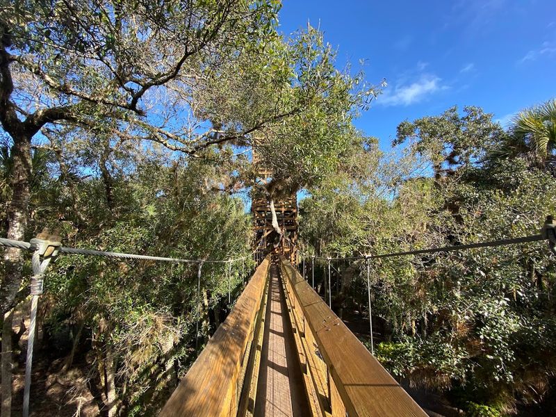 Myakka Canopy Walkway Trail in Myakka River State Park
