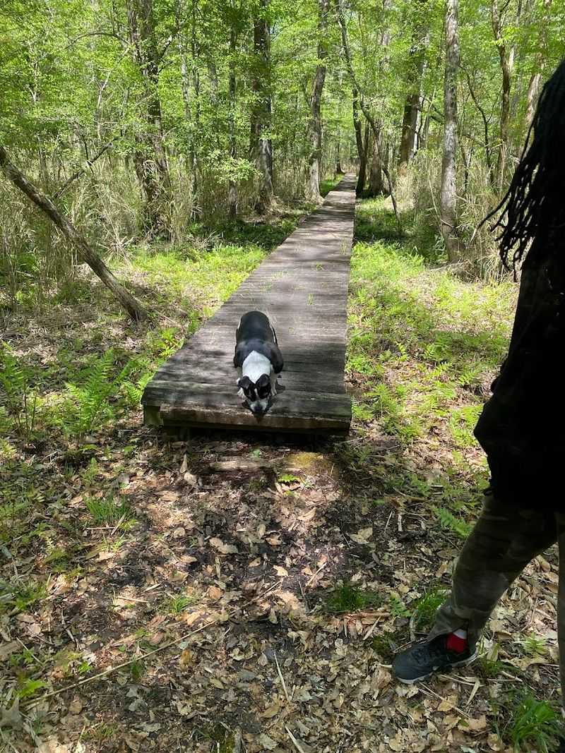 Neusiok Coastal Trail