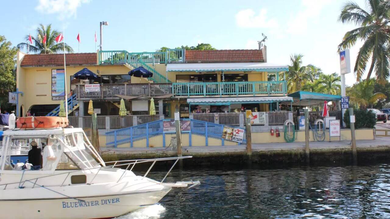 Sharkey’s Sharkbite Grill: Casual and Flavorful