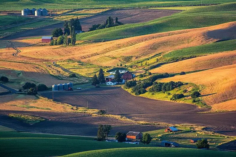 The Rolling Fields of the Palouse