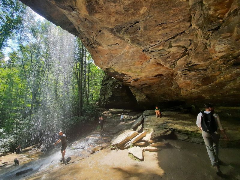 Moore Cove Falls Path